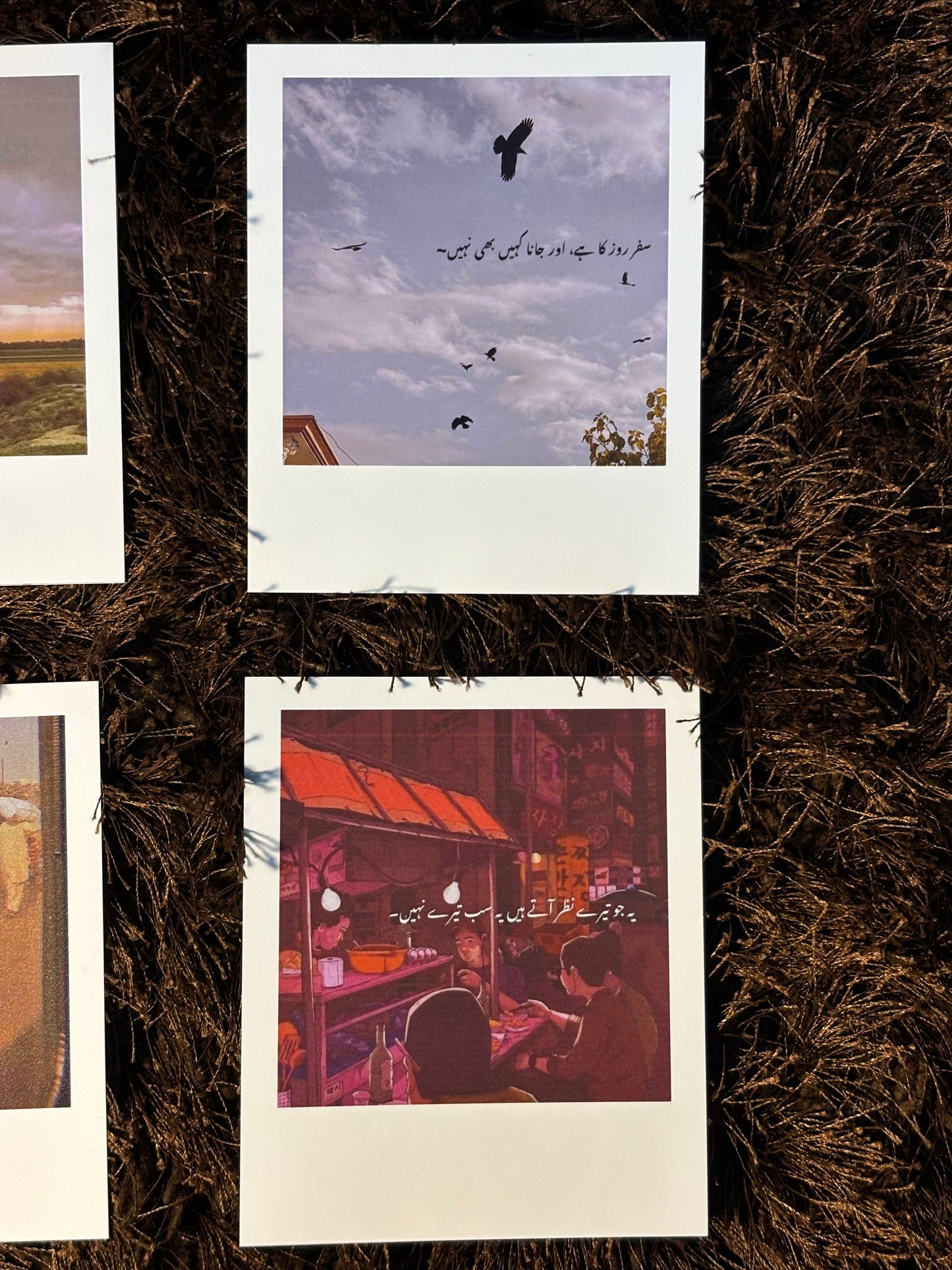 polaroids (3)
