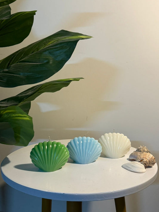 seashell candle